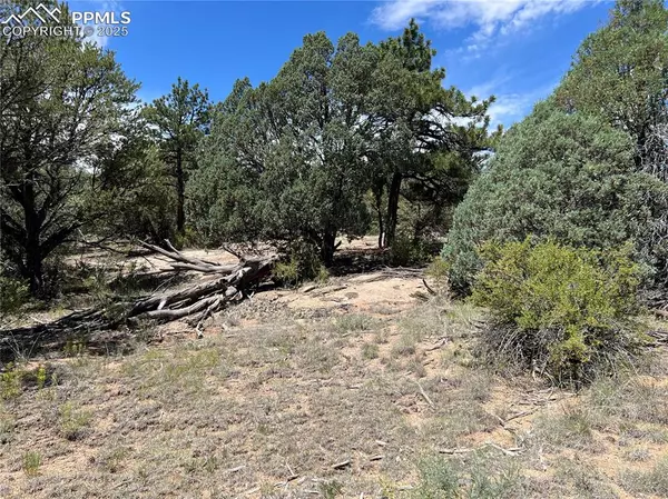 216 West View RD, Cotopaxi, CO 81223
