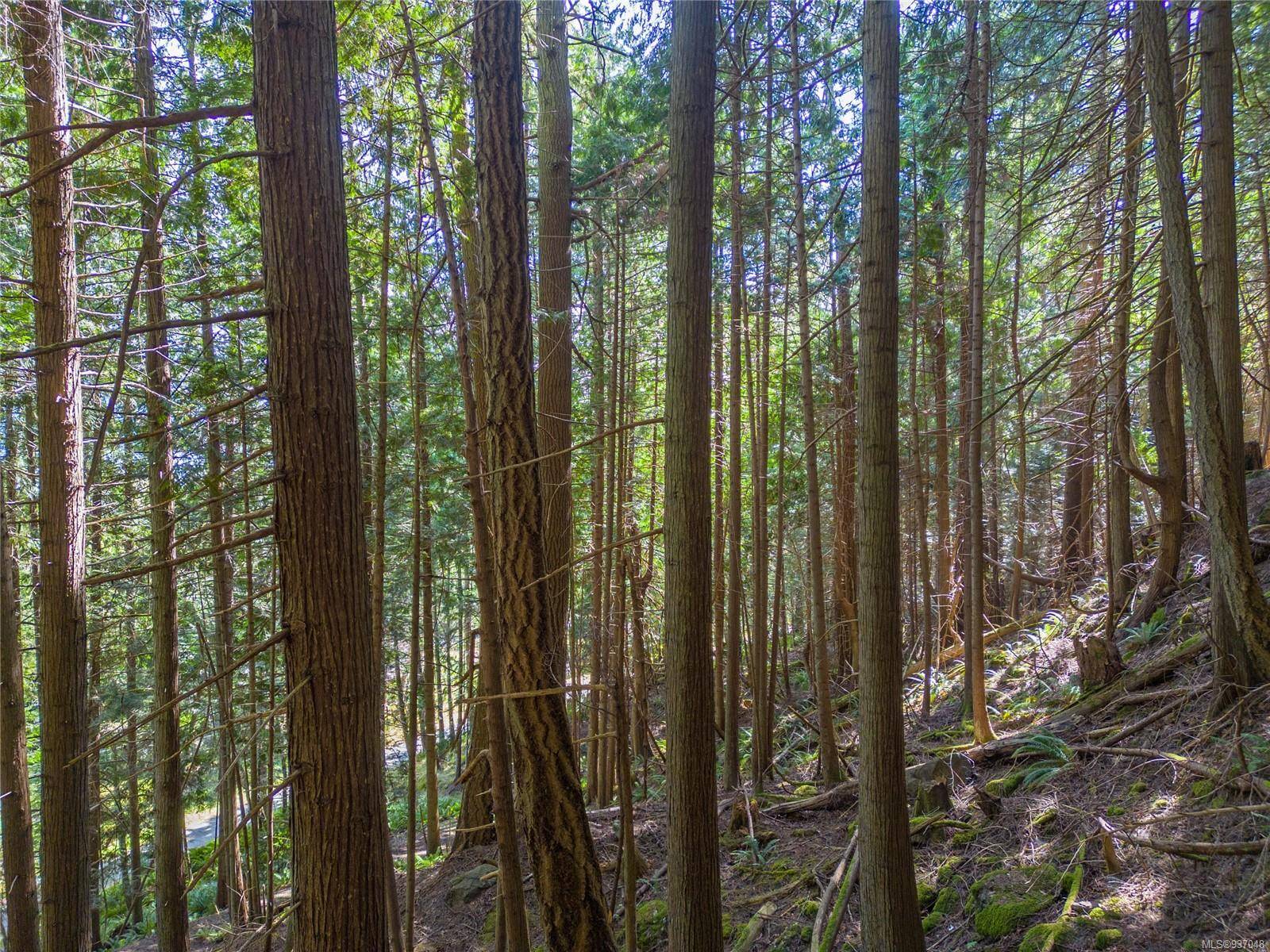 Pender Island, BC V0N 2M0,Lot A Boundary Pass Dr