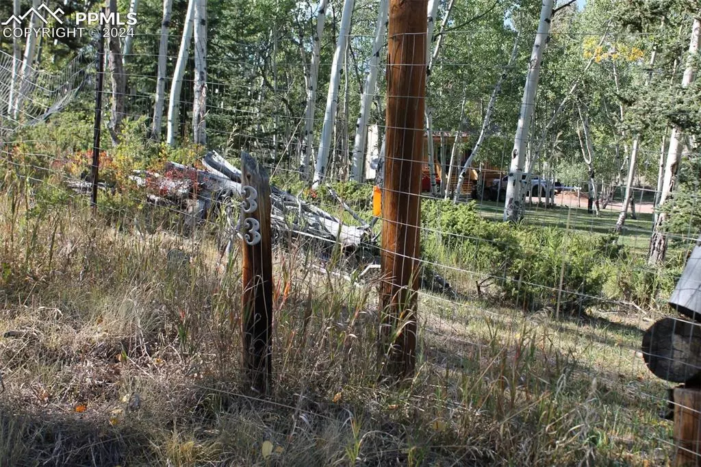 Florissant, CO 80816,54 Elkhorn LN