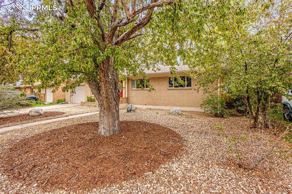 Colorado Springs, CO 80907,3214 Gladiola DR