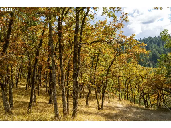 Roseburg, OR 97471,OAK HILL RD