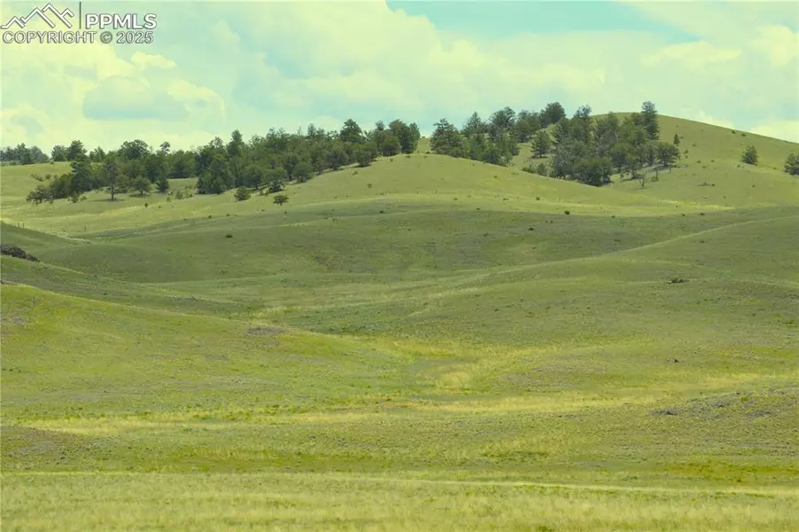 Ahlers LN, Hartsel, CO 80449