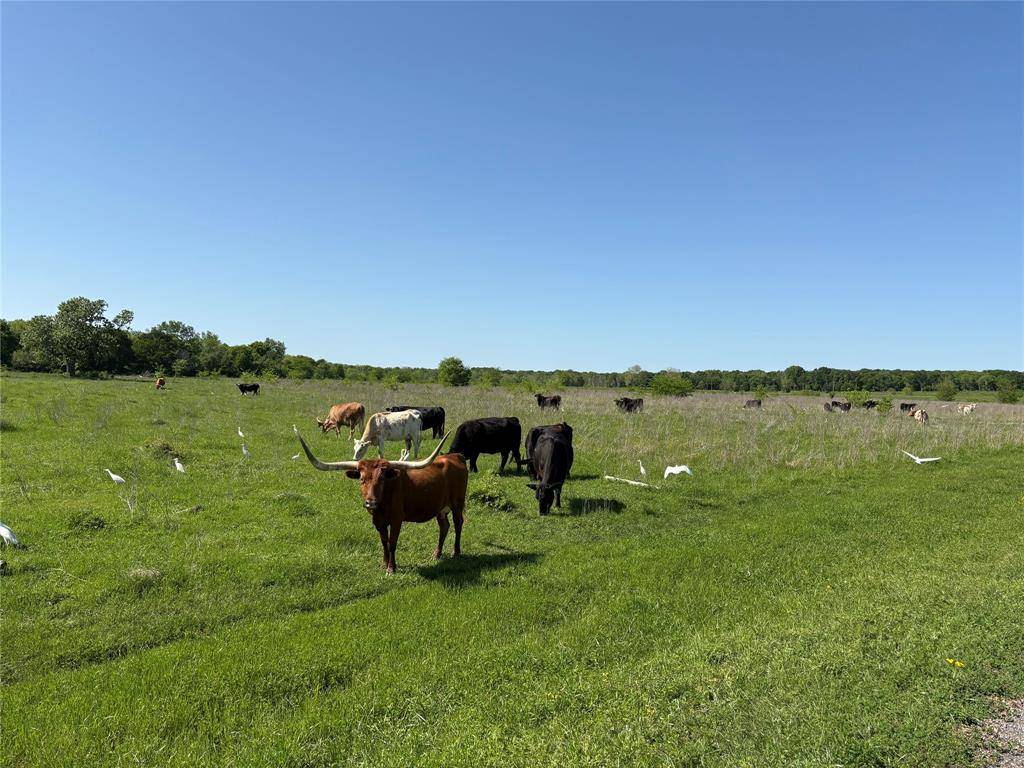 Athens, TX 75832,1500 Private Road 8496