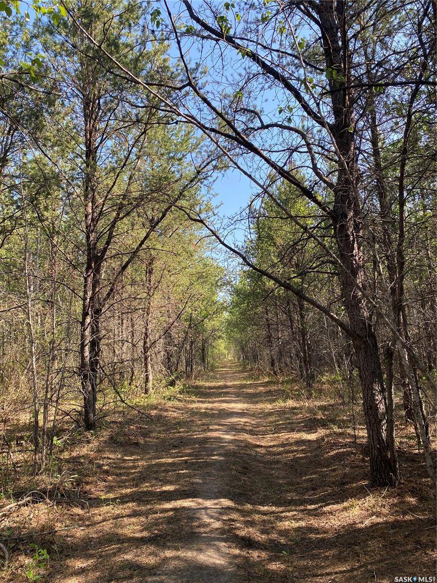 Rural Address, Torch River Rm No. 488, SK S0E 1E0