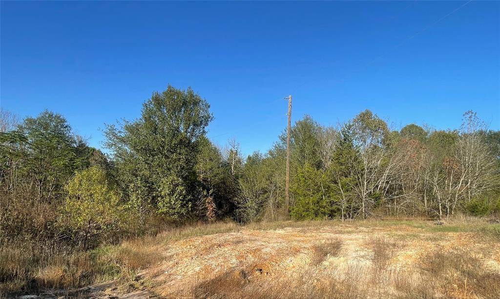 TBD CR 2351,  Mineola,  TX 75773