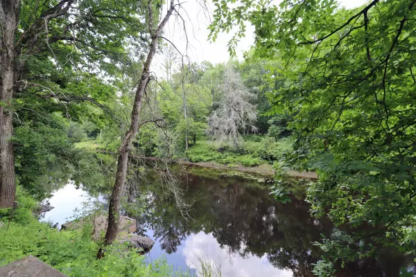 Tweed, ON K0K 3J0,228 Kehoe LN