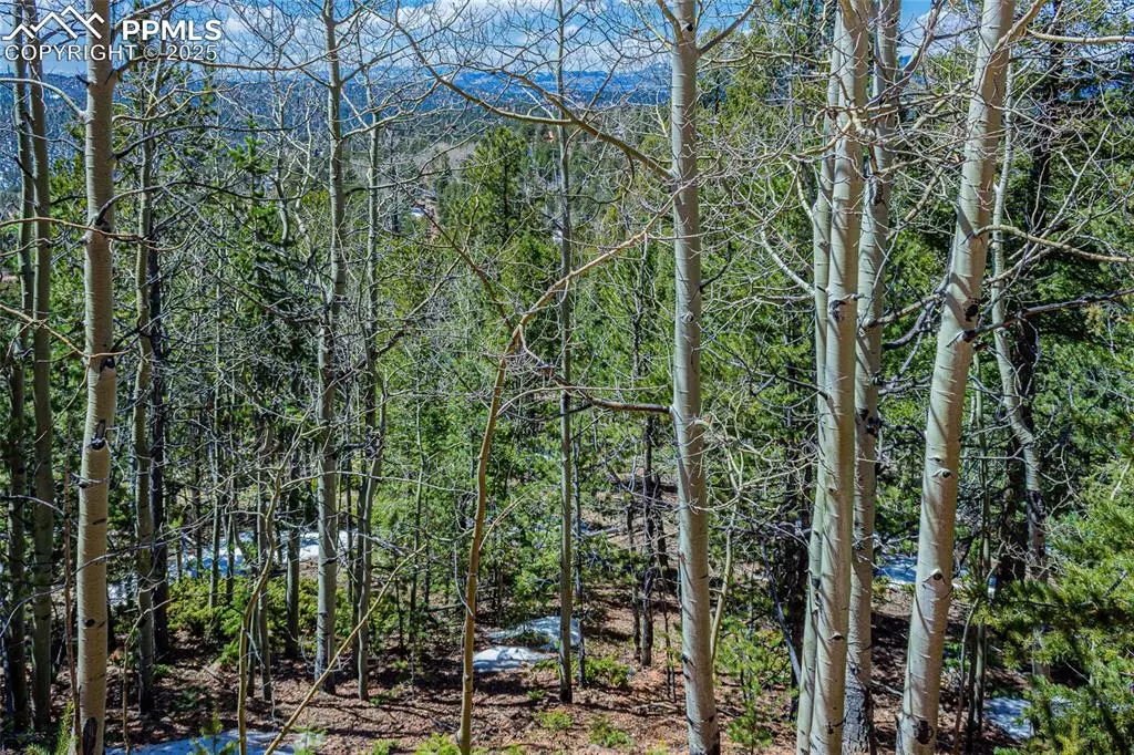 Divide, CO 80814,336 Witherite DR