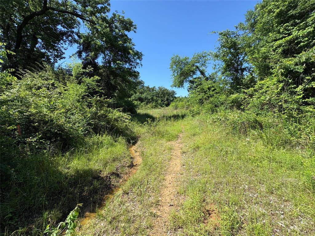 TBD Fm-3105 Highway,  Pickton,  TX 75471