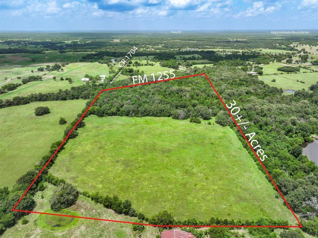 Grand Saline, TX 75140,30 Acres FM 1255