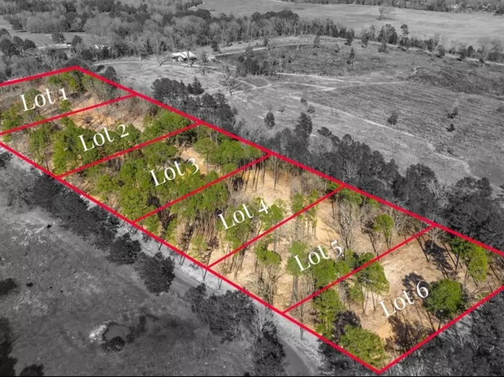 Mineola, TX 75773,LOT 4 County Road 2540
