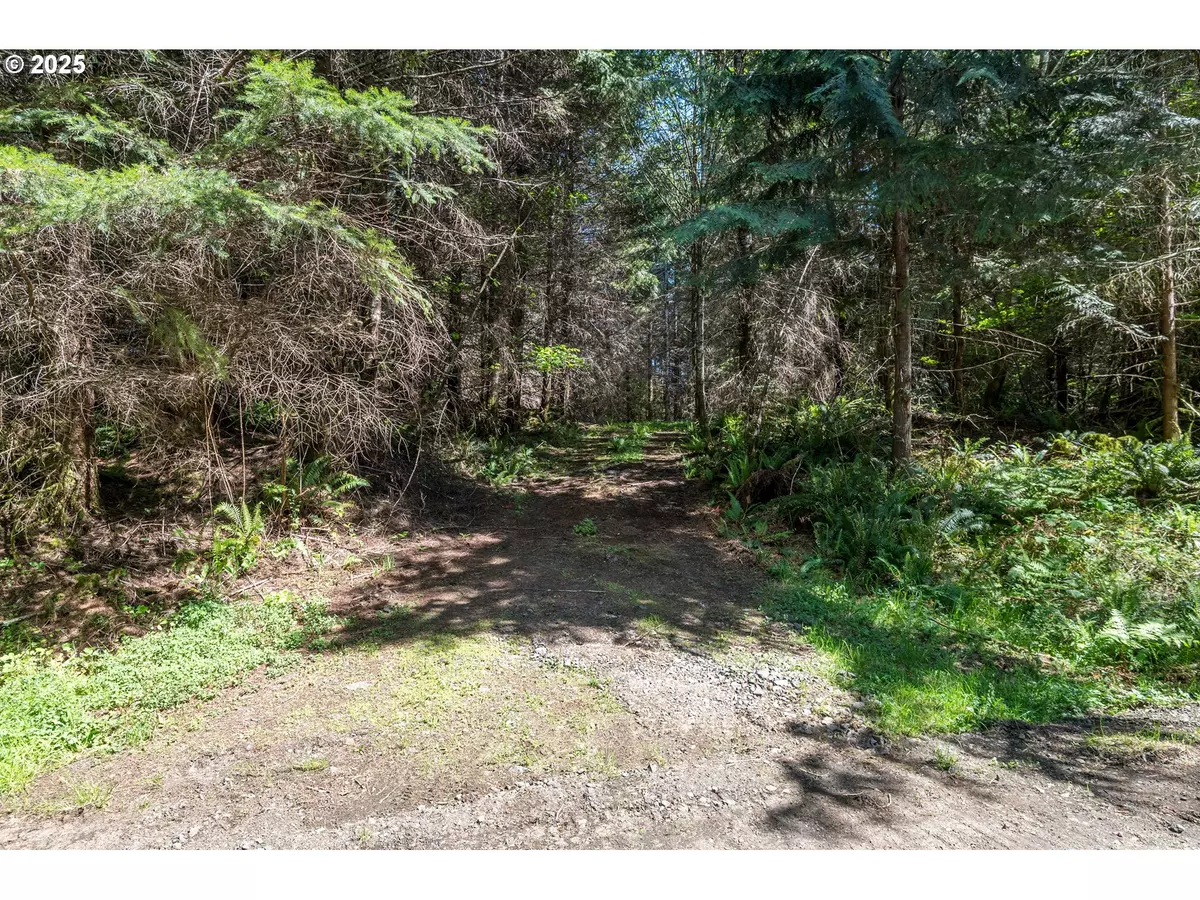 Longview, WA 98632,Orion #5