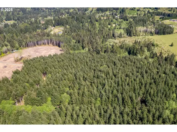 Longview, WA 98632,Orion #5