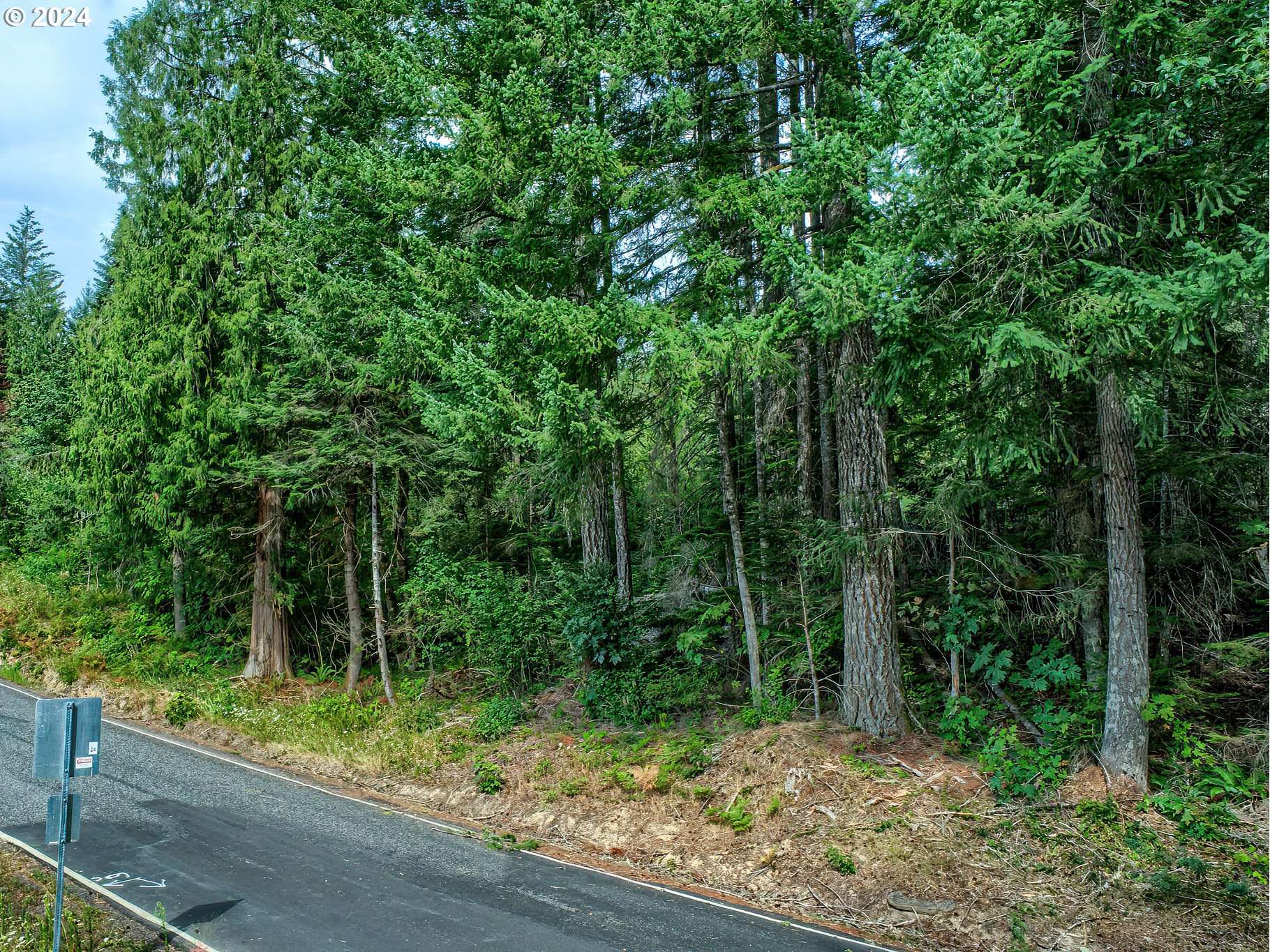 Carson, WA 98610,BEAR CREEK RD
