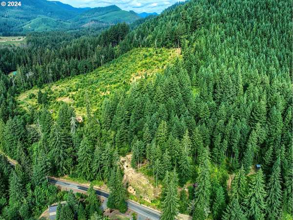 BEAR CREEK RD, Carson, WA 98610