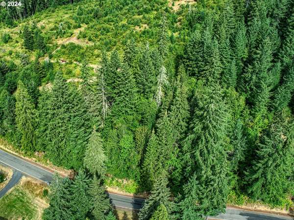 BEAR CREEK RD, Carson, WA 98610