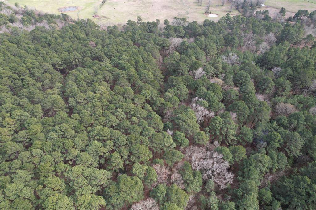 Henderson, TX 75654,TBD County Road 3156