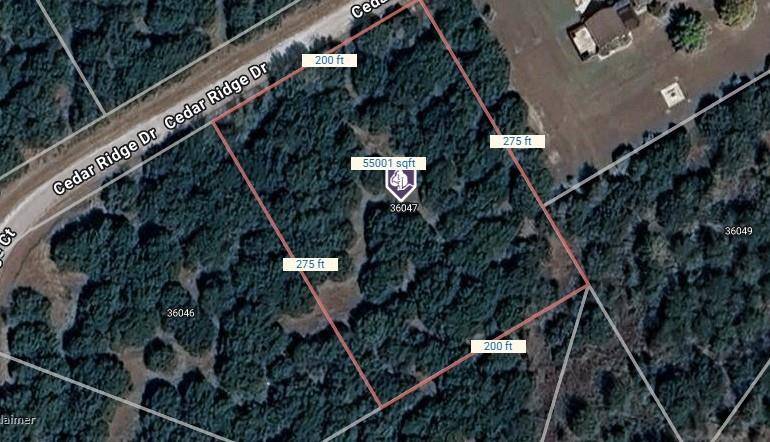 Whitney, TX 76692,36047 Cedar Ridge Drive