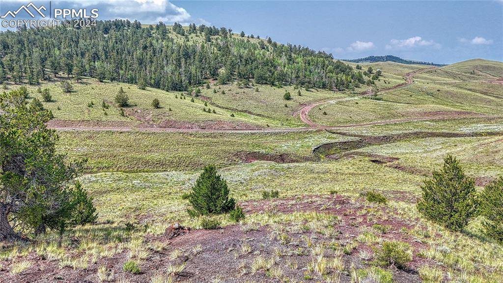 Hartsel, CO 80449,Lot 4134 Wicaka TRL