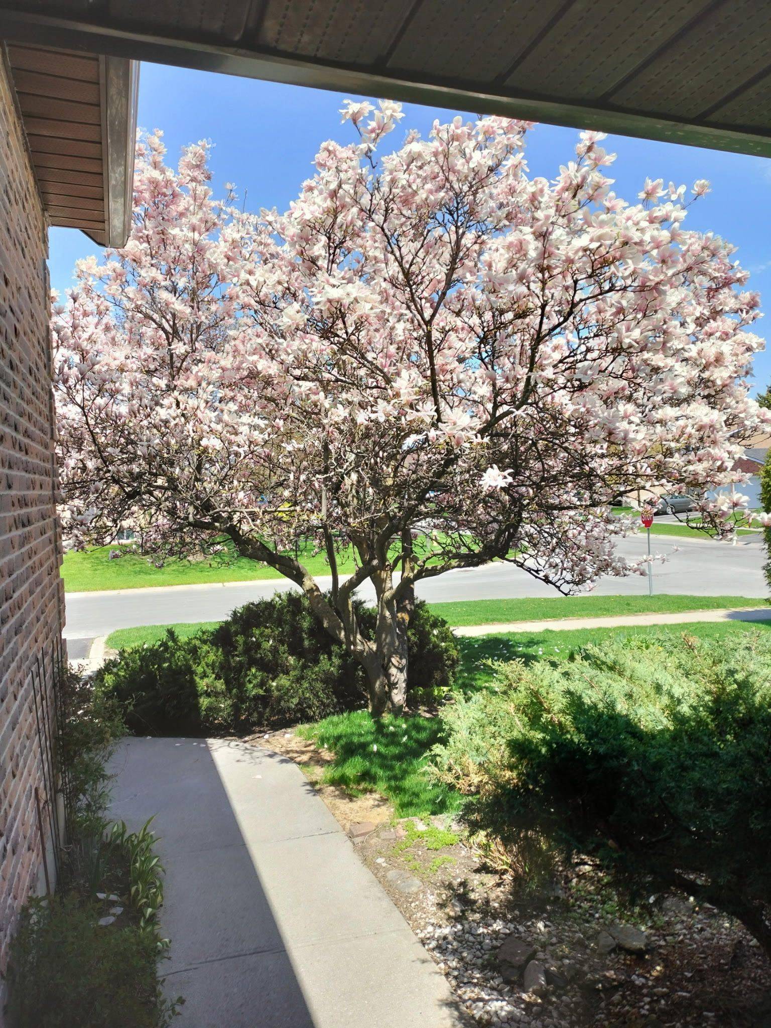 Kingston, ON K7P 2B3,1020 Ambleside CRES S