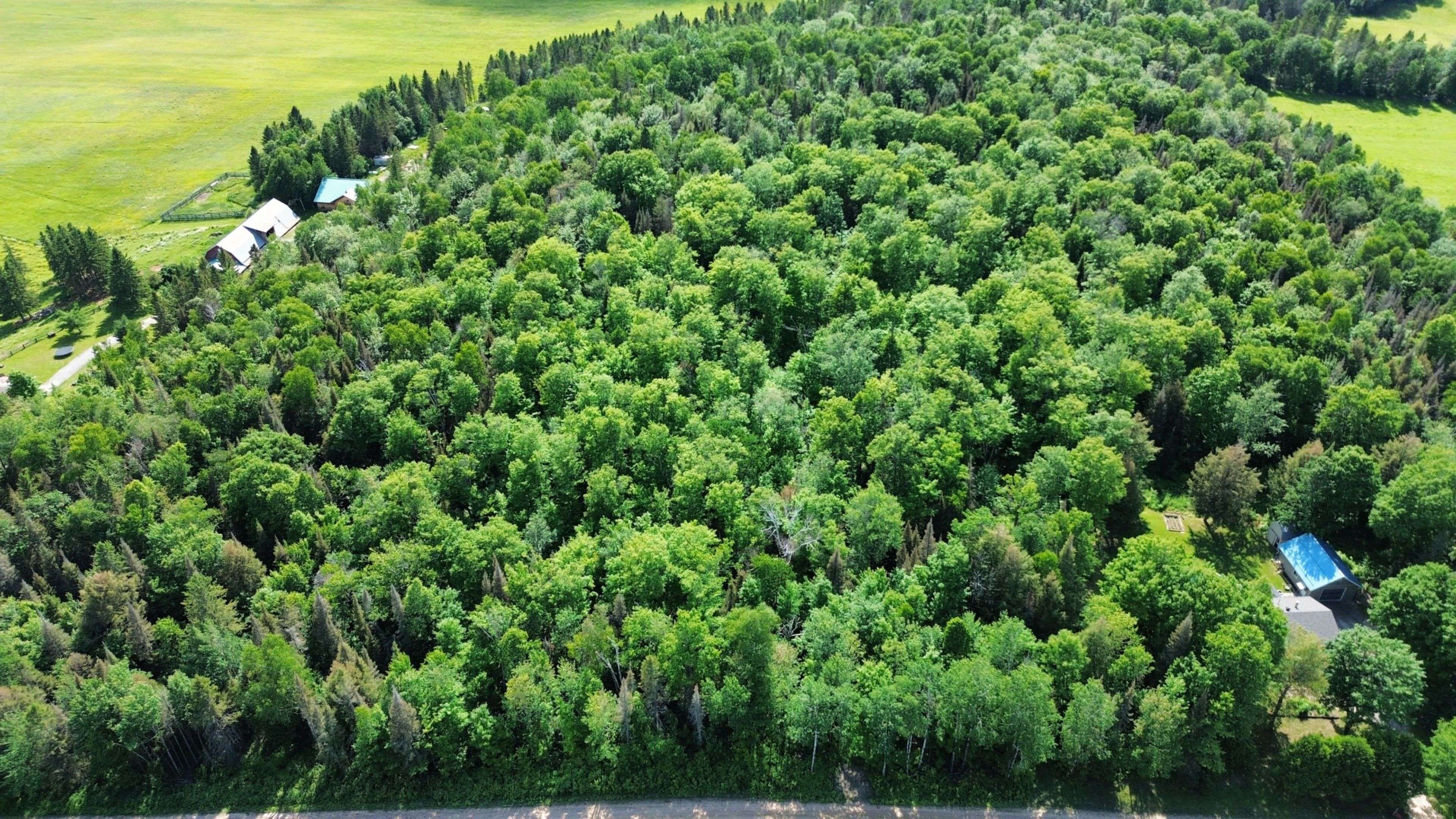 Powassan, ON P0H 1Z0,315 Kells RD