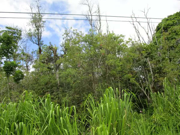 31ST AVE, Keaau, HI 96749