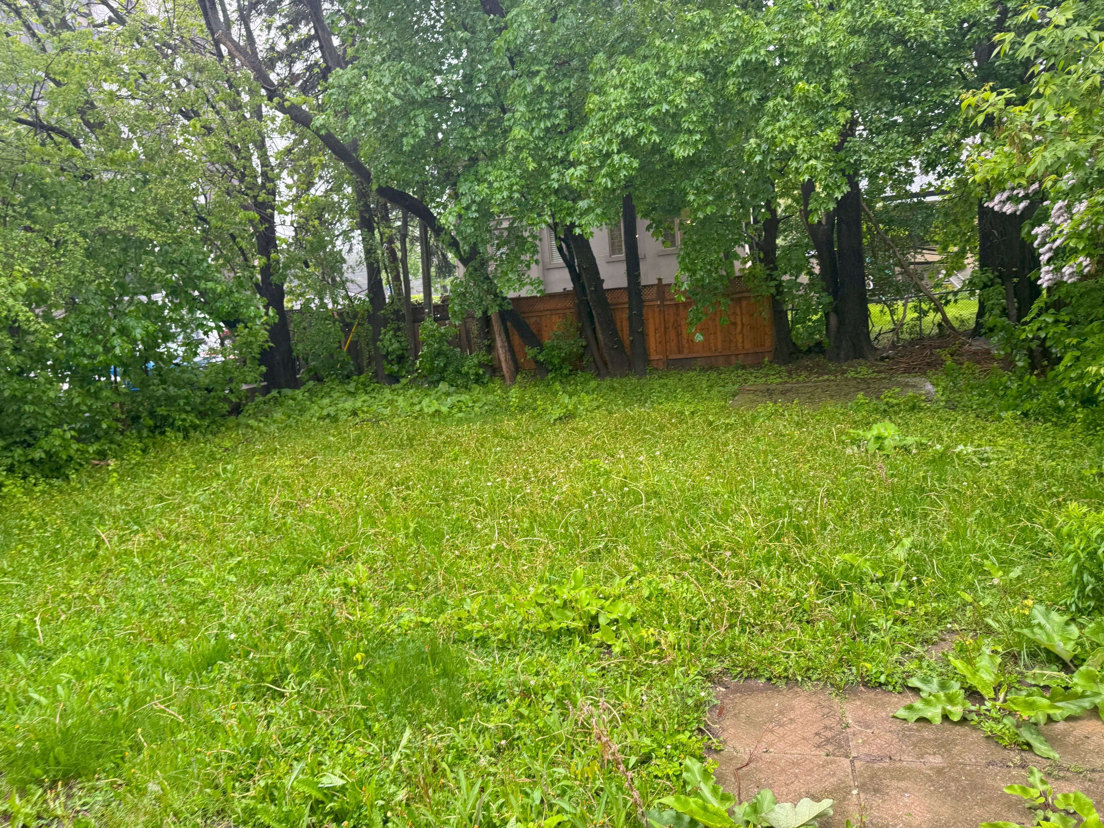 Toronto C04, ON M5M 2N5,146 Bannockburn AVE