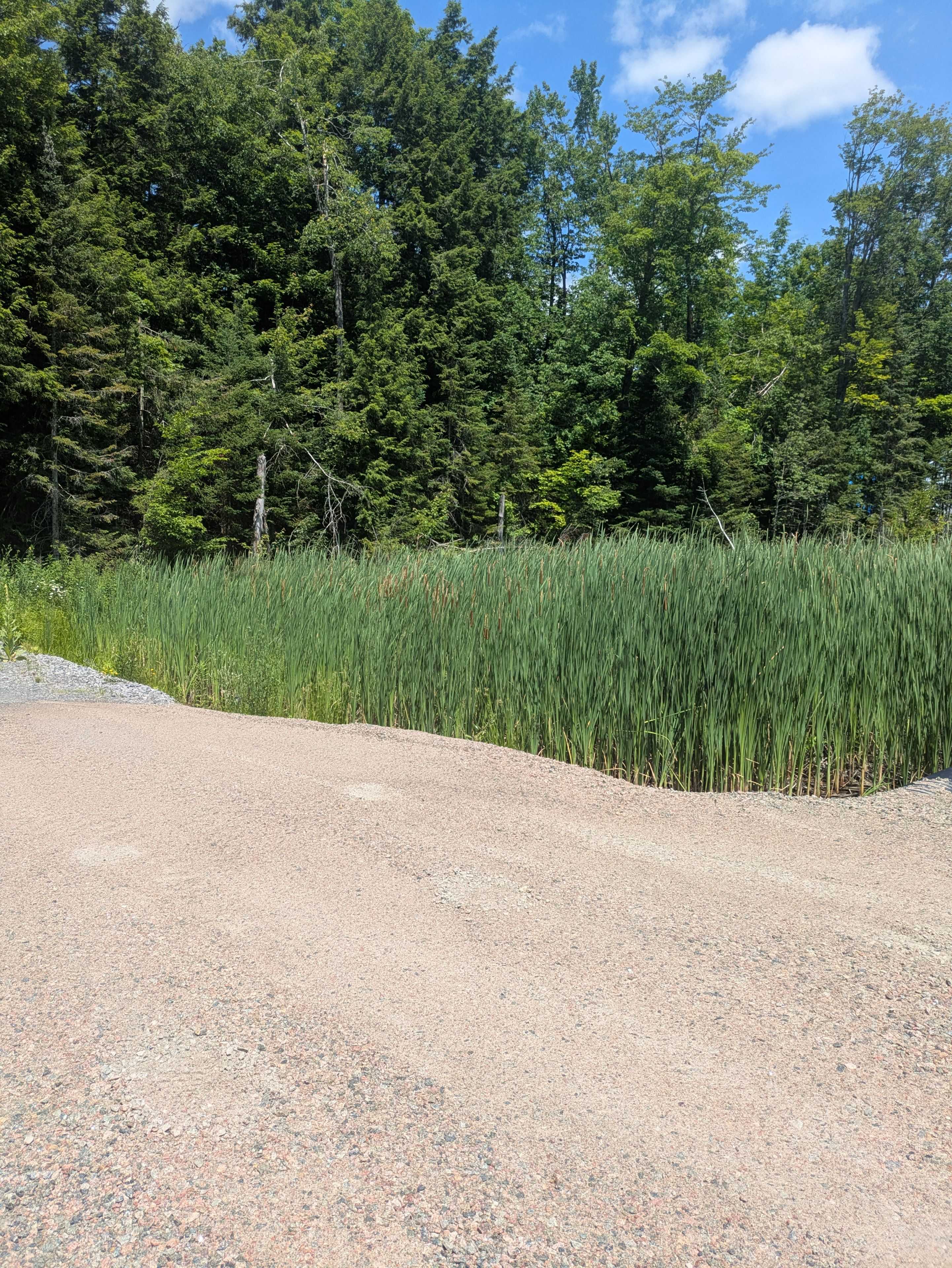 Bracebridge, ON P1L 1X1,0 118 HWY E