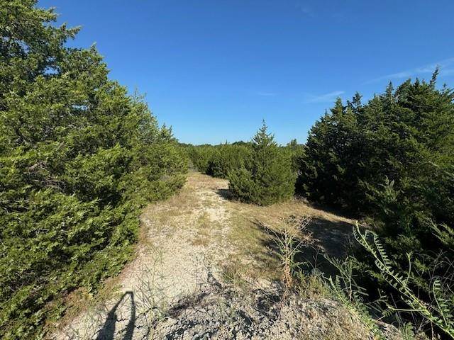 Van Alstyne, TX 75495,TBD Sister Grove Road