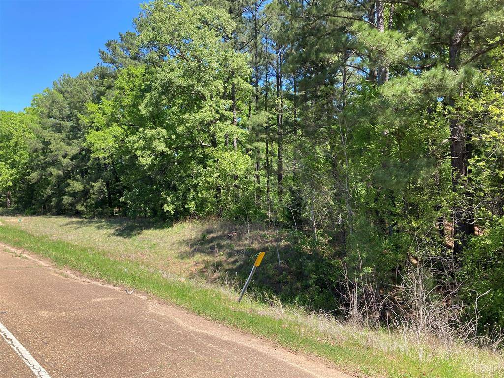 Homer, LA 71040,242 Slaughter Road