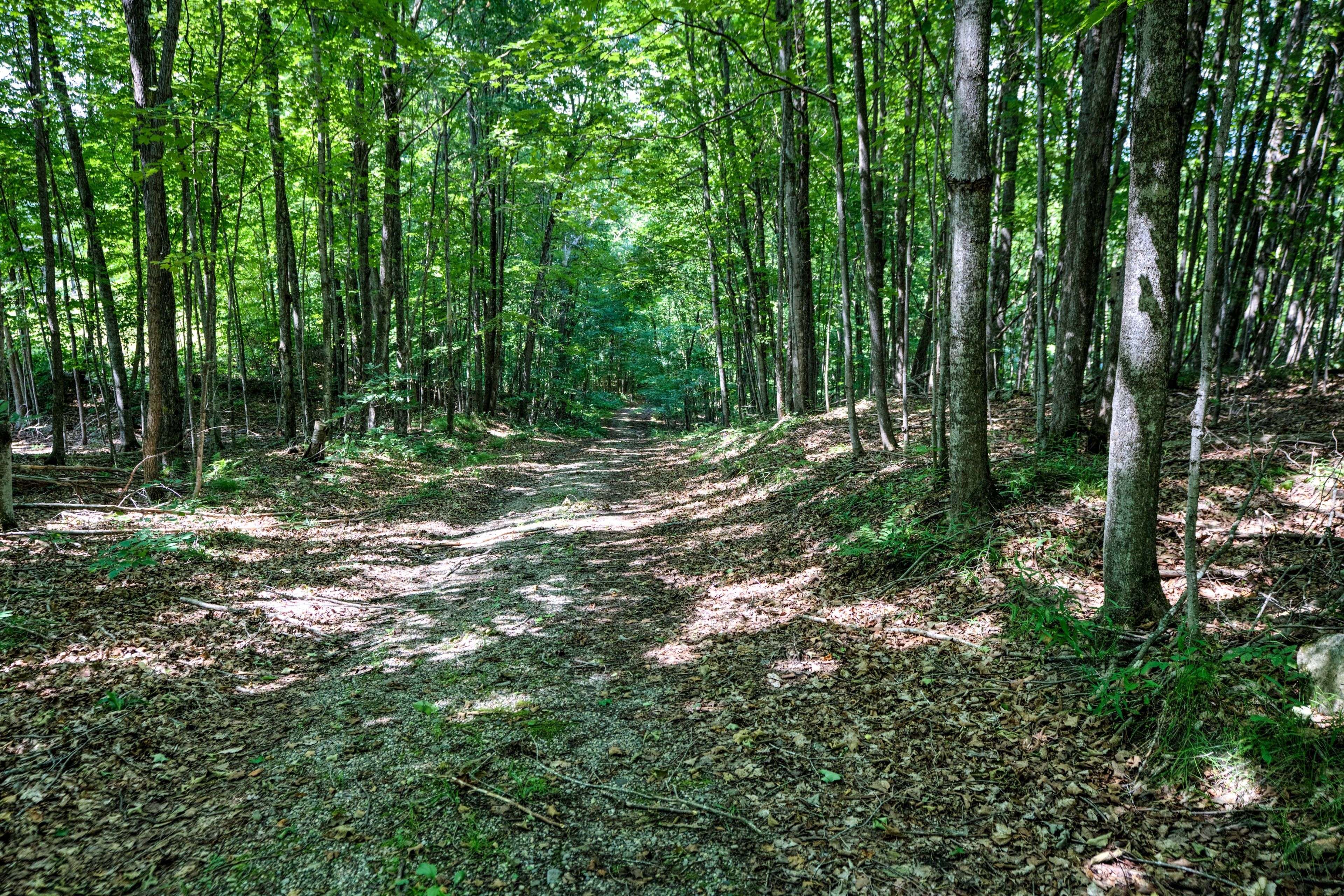 Rideau Lakes, ON K0G 1X0,98 Rocky Ridge LN