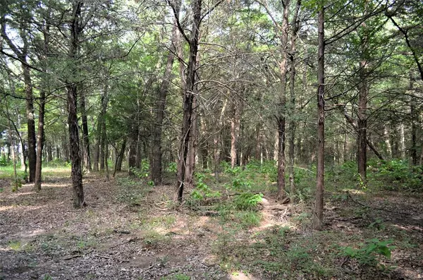 Tool, TX 75143,0 County Road 2404
