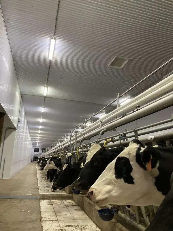 406 Durack Line, Admaston/bromley, ON K0J 1K0