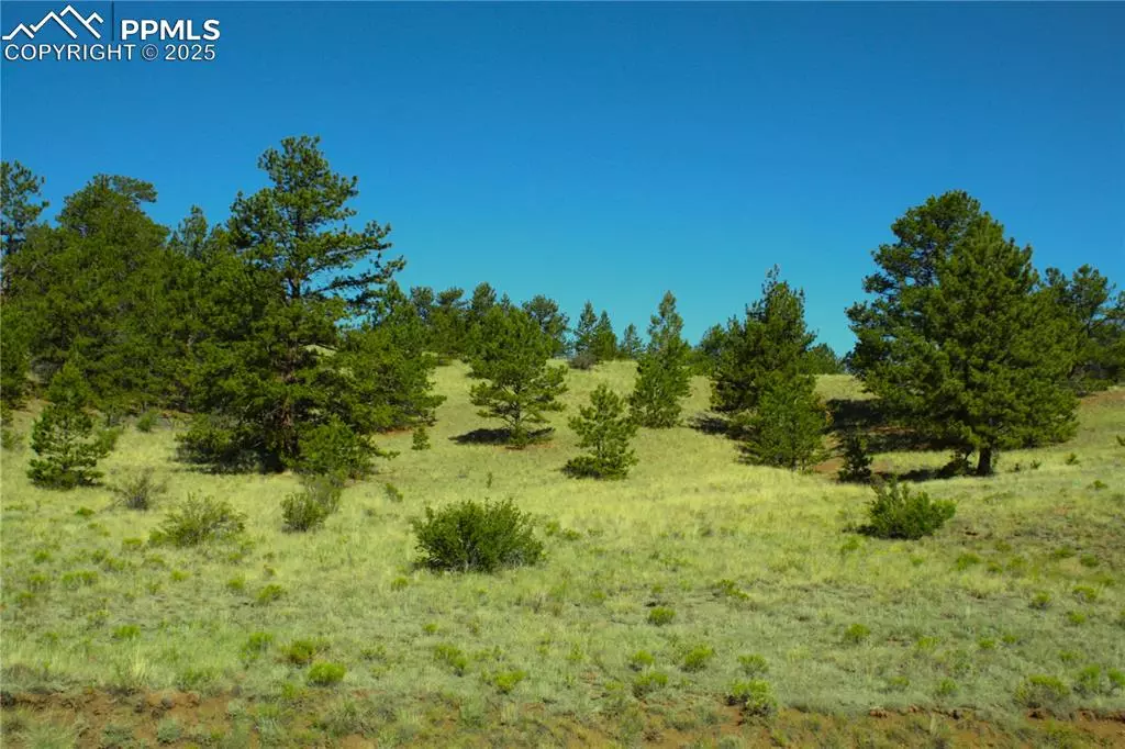 Hartsel, CO 80449,Hill RD
