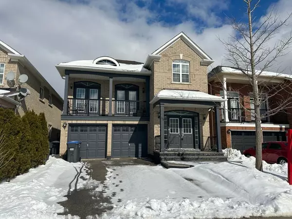 339 Edenbrook Hill DR #Lower, Brampton, ON L7A 2L3