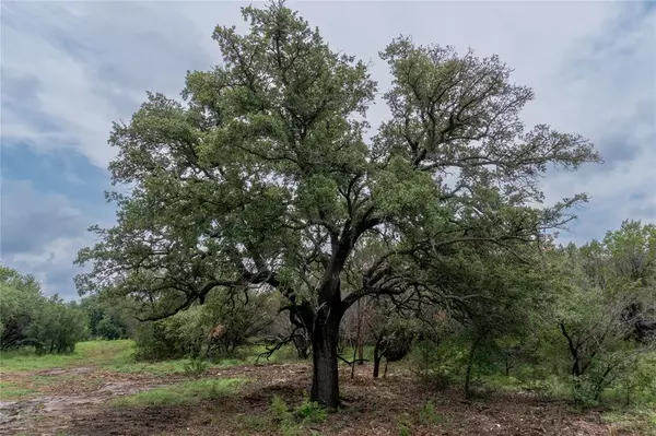 Tolar, TX 76476,T6 Shiloh Vista Lane
