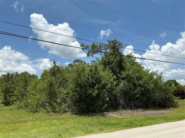 Port St Lucie, FL 34953,4562 SW Daemon St
