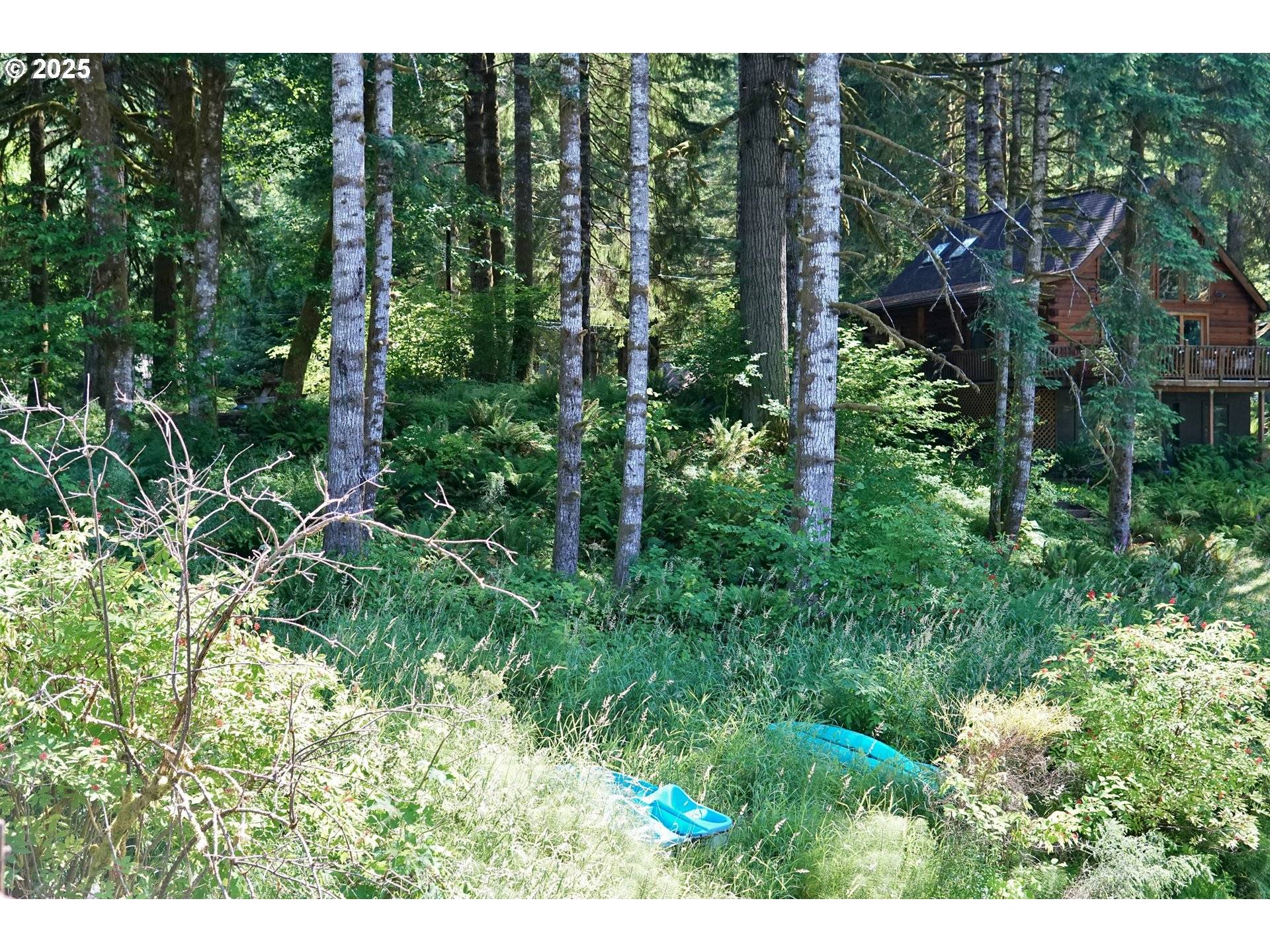 Birkenfeld, OR 97016,9965 BEACH DR