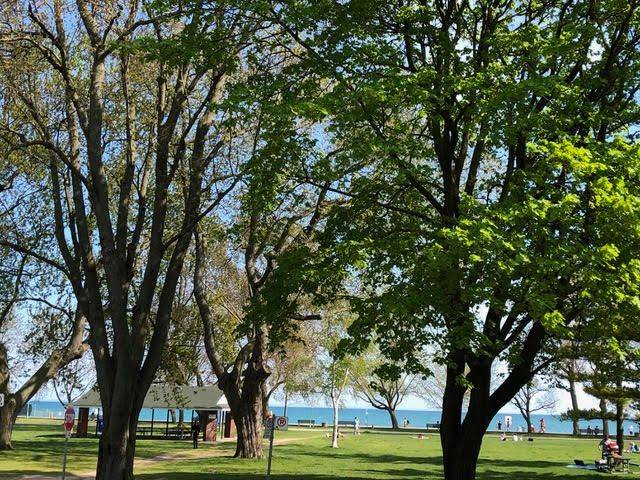 Toronto E02, ON M4L 1B7,20 Kew Beach AVE #Main