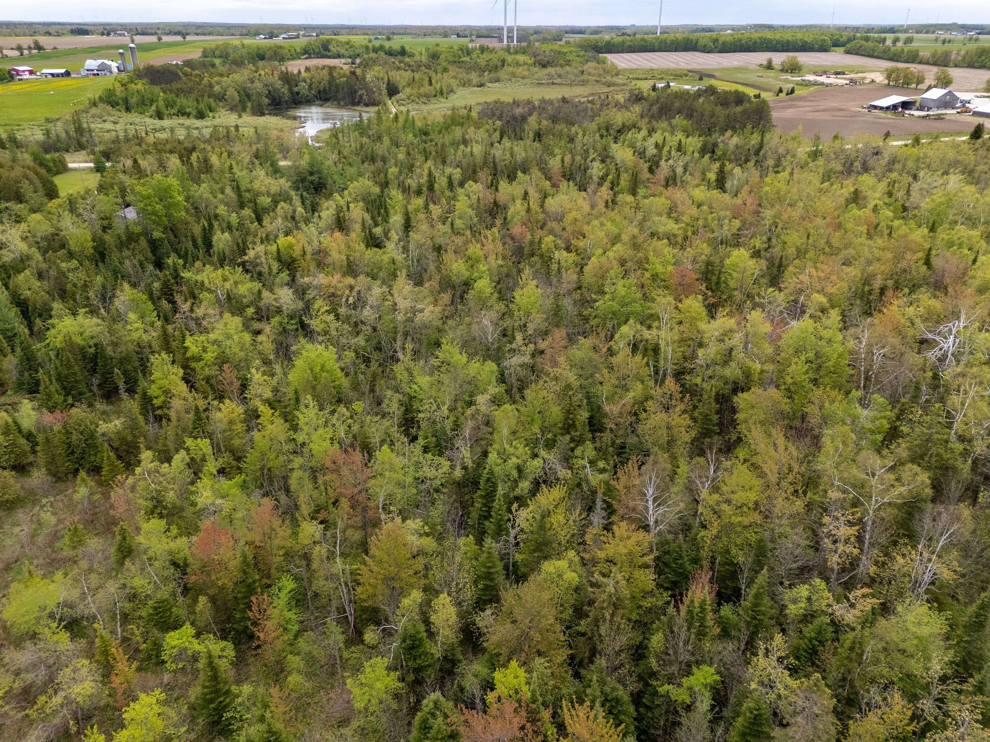 Grey Highlands, ON N0C 1H0,348305 4th Concession B Concession