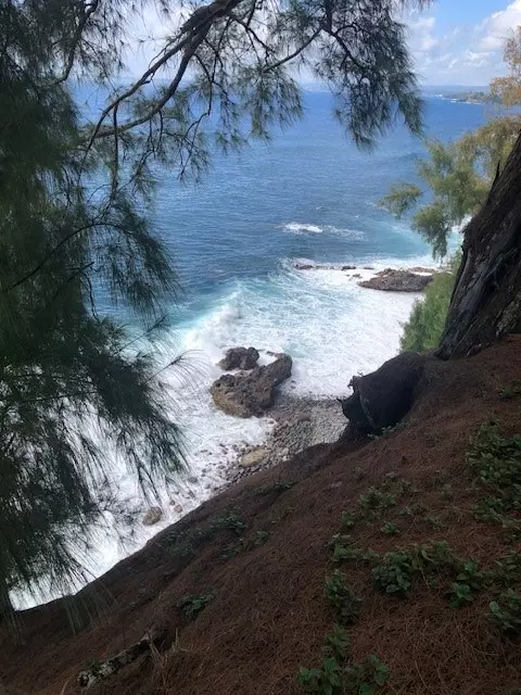 Pepeekeo, HI 96783,Loa Rd. Lot#79