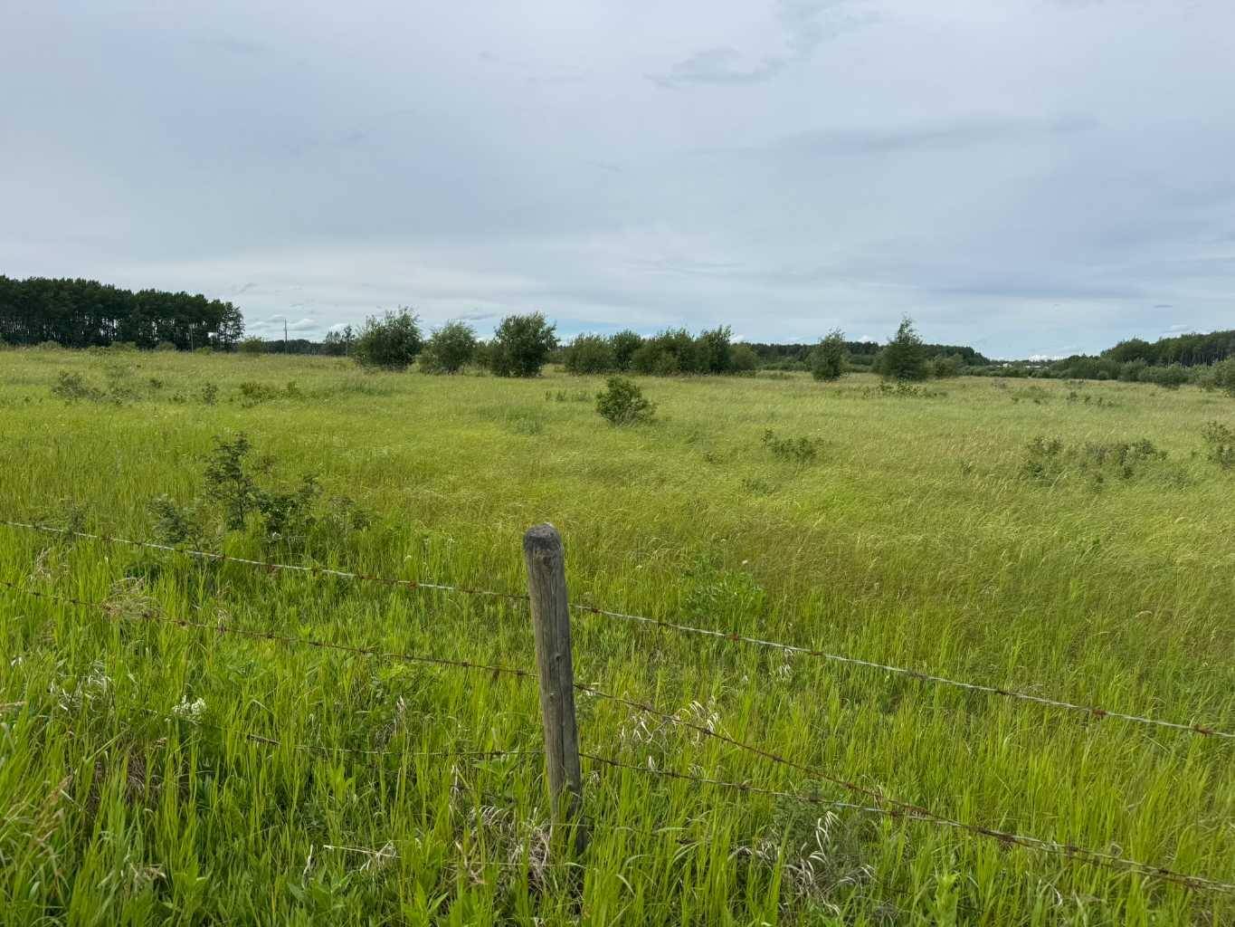 Lot 5 Township Road 842, Rural Northern Lights County Of, AB T0H 1W0