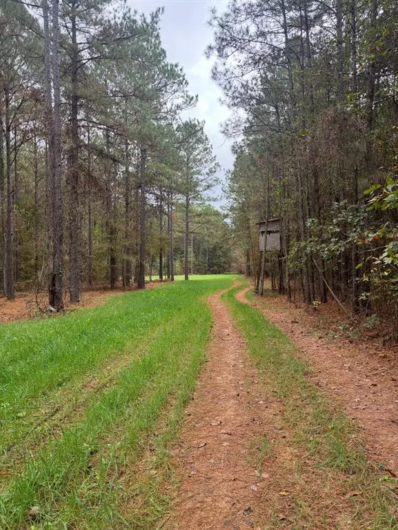 Benton, LA 71006,00 Old Plain Dealing Road