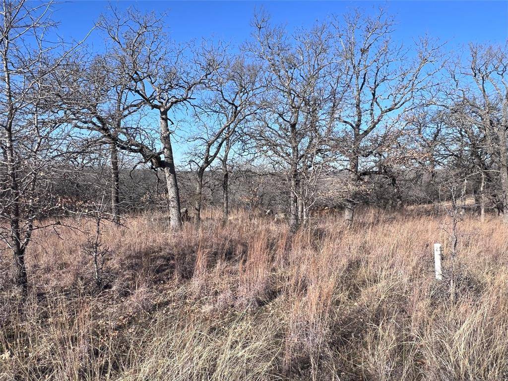 Chico, TX 76431,TBD Vista Pointe Drive