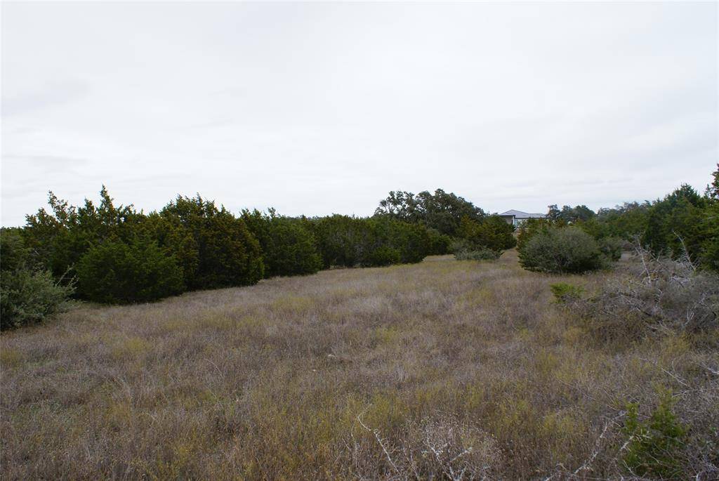 Johnson City, TX 78636,413 E E Flying Owl Drive