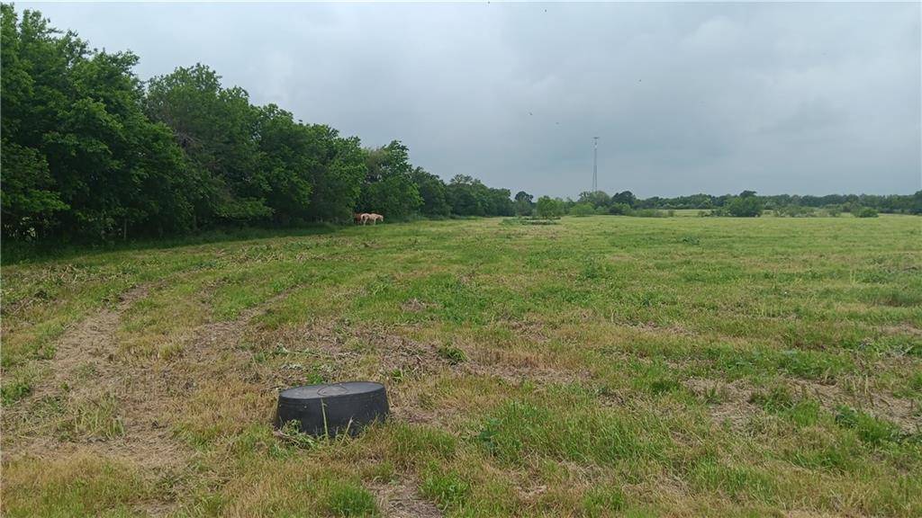 TBD CR 494N, Chilton, TX 76632