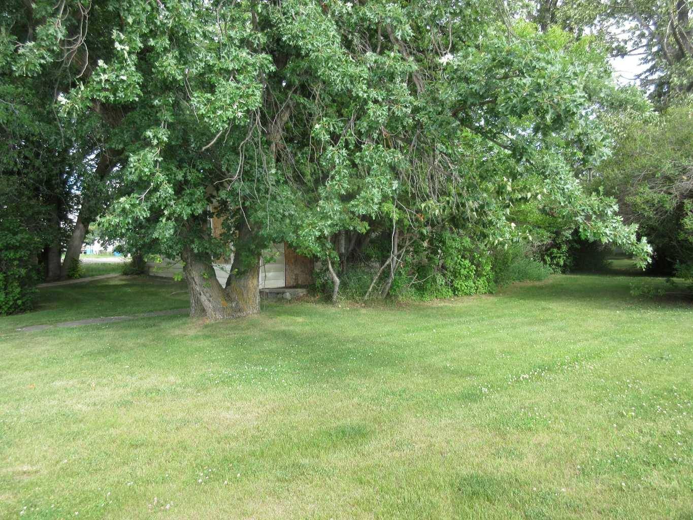 4804 50 AVE, Rocky Mountain House, AB T4T 1C1