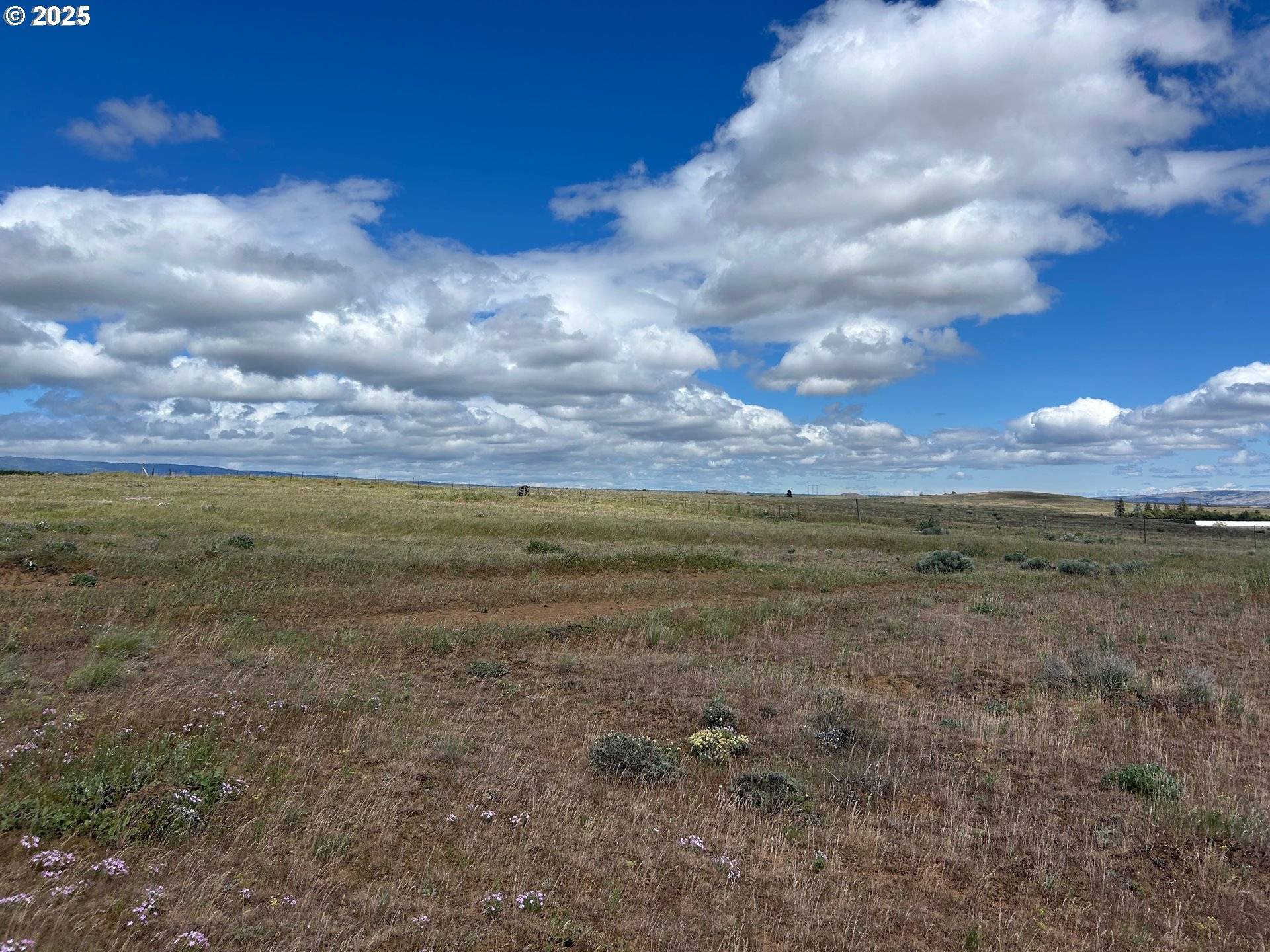Goldendale, WA 98620,Coco LN