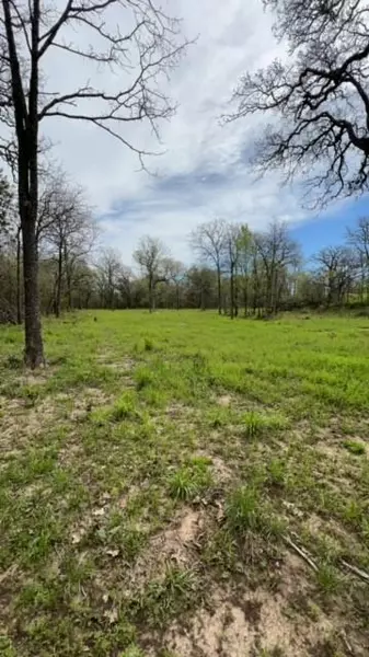 45 Hagen Lee Lane, Mineral Wells, TX 76067