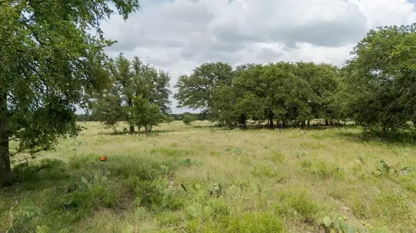 Lampasas, TX 76550,Lot 110 Kudu Court