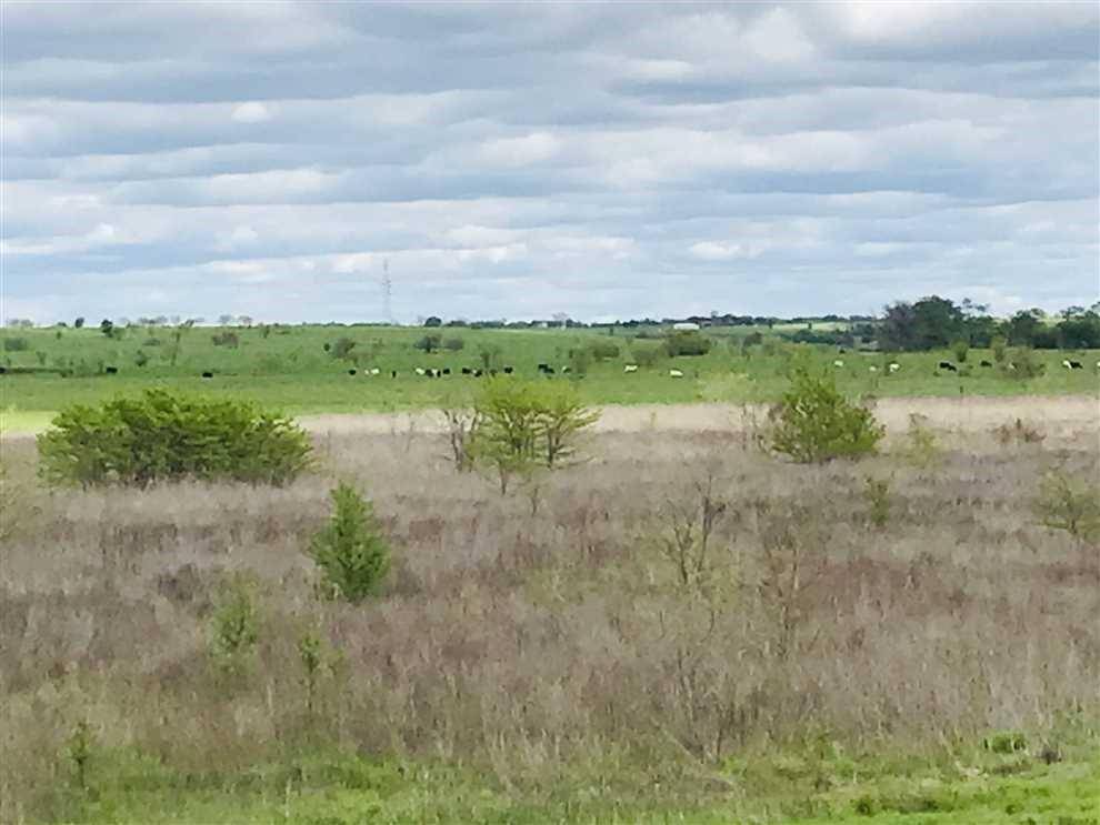 Crandall, TX 75114,TBD S FM148 Street